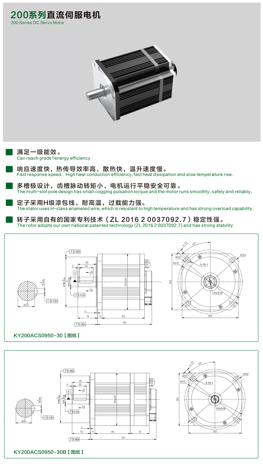 200系列0950-30伺服電機.jpg